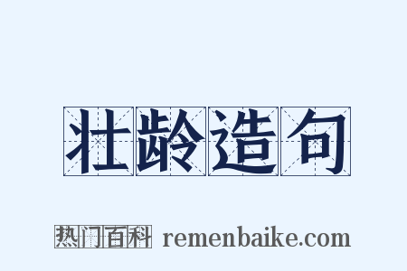 壮龄造句是什么意思的图片